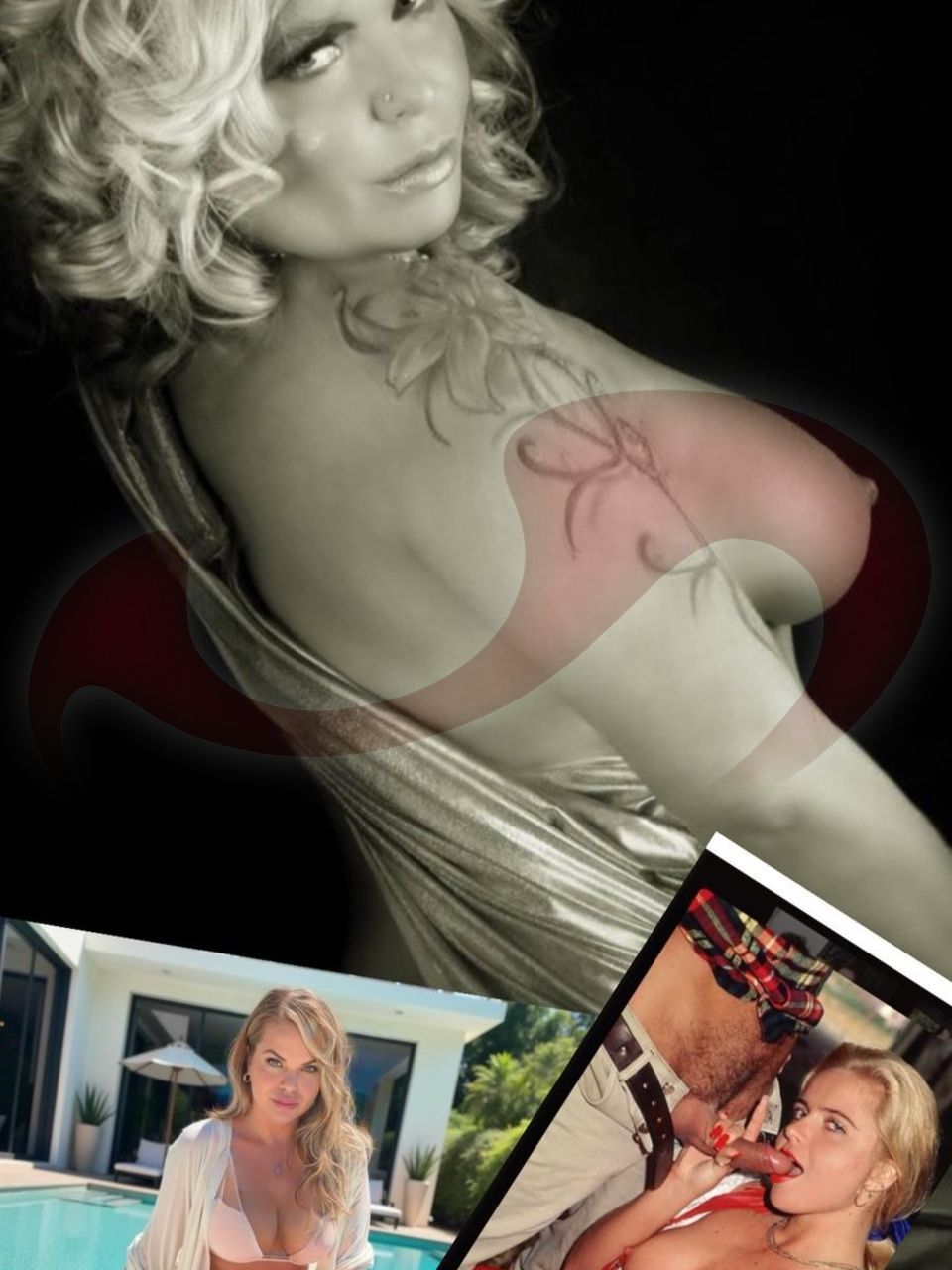 Monica Orsini, PORNOSTAR